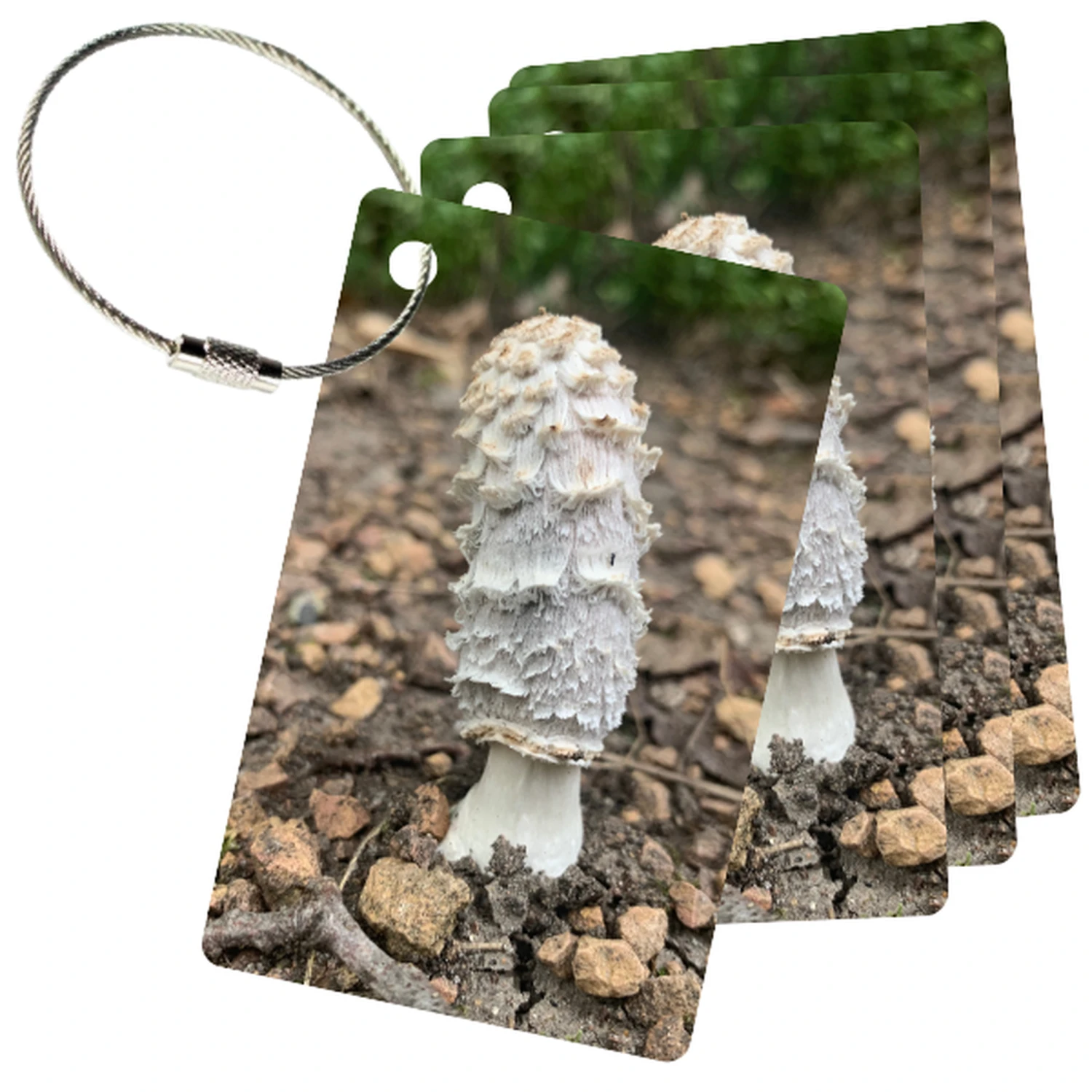 MyFly Personalized Luggage Tags With Metal Loop Upgrade - Only $4.69 Each For 50 Tags -Luggage Pros Shop MyFly Personalized Luggage Tags with Metal Loop Upgrade Only 4 69 each for 50 tags 6